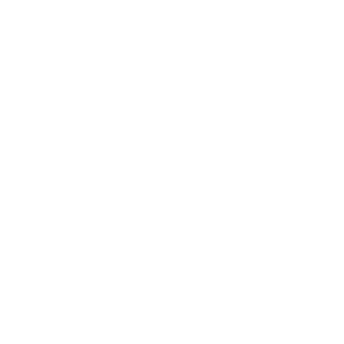 The Aesthetic Client Logo
